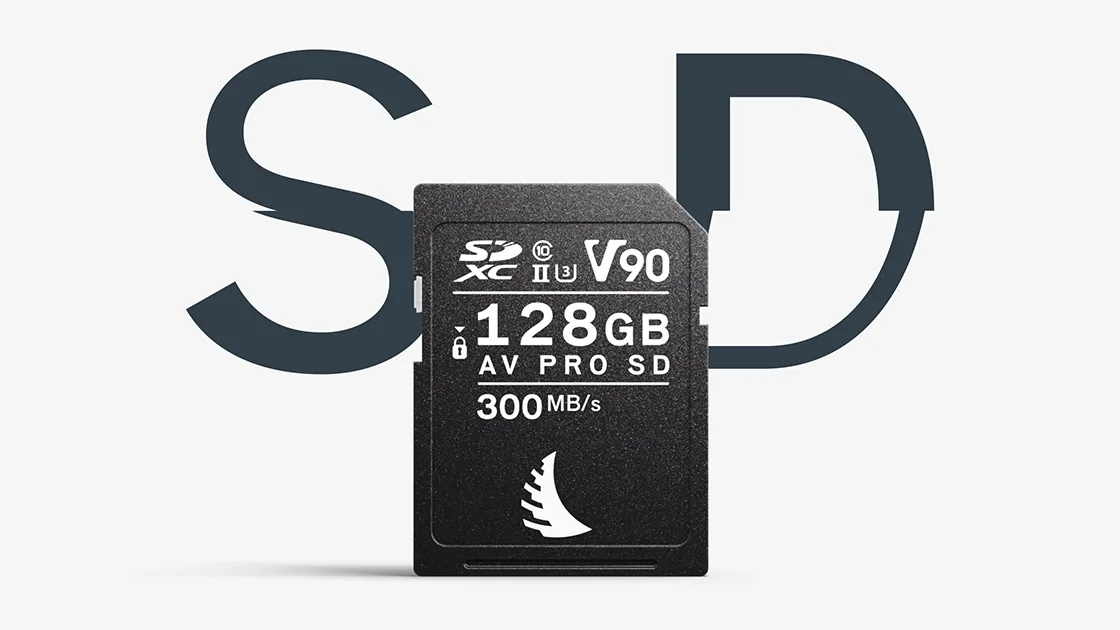 Angelbird AV PRO SD MK2 128GB