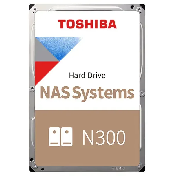Toshiba N300 22 TB